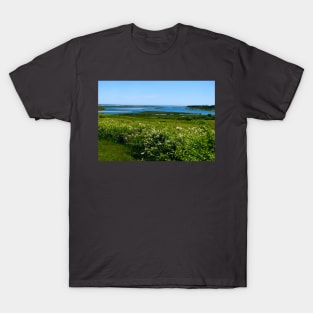 Fort Hill in Eastham, MA T-Shirt